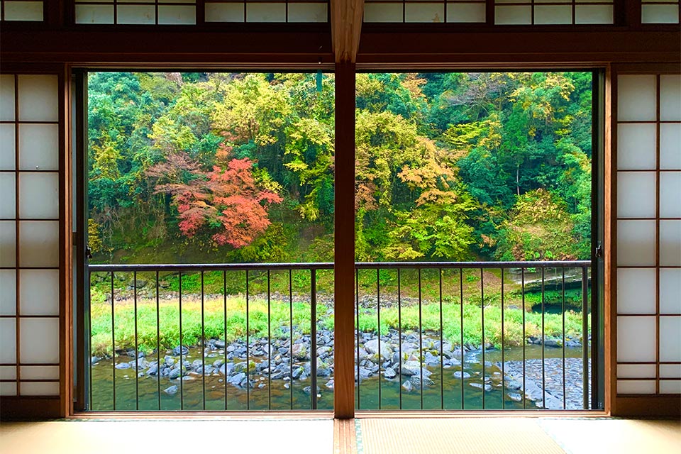 築41年で家賃3万円の住まい。窓枠が額縁代わりになり、移り変わる四季の景色を絵画のように楽しめます