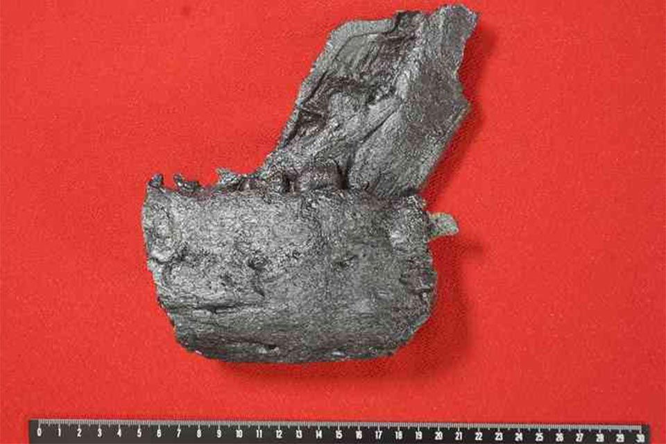 ティラノサウルス科の下顎の化石、熊本・苓北町で発見 日本初 御所浦白亜紀資料館など発表