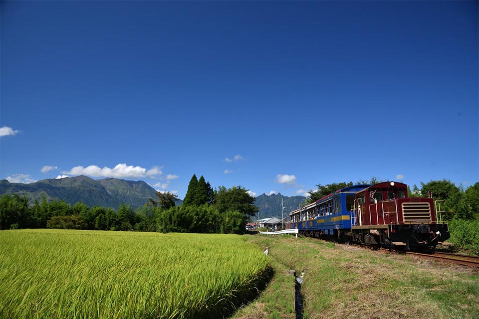 南阿蘇鉄道トロッコ列車