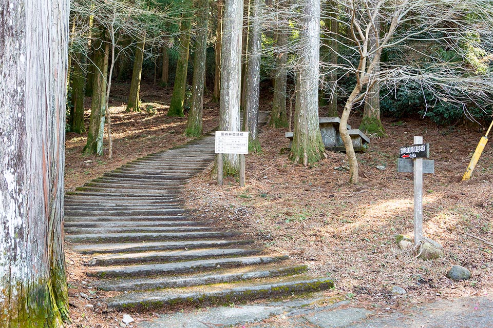 熊本市街地から近い金峰山（標高665m）は、地元で親しまれている山の一つで、「さるすべり」と呼ばれる岩場の急坂コース（片道約30分）や、ゆるやかな登山道コース（片道1時間）があります