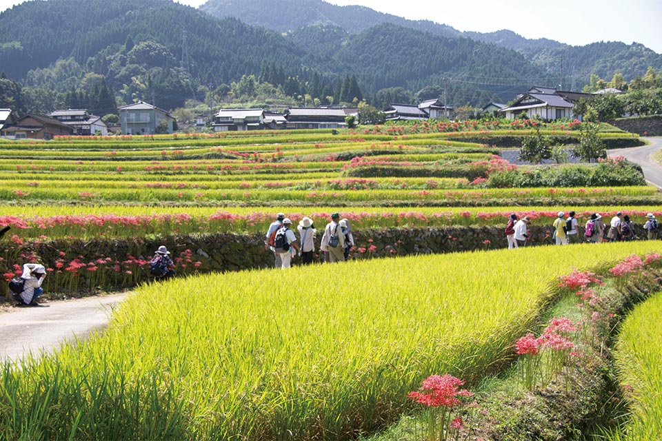 四季折々の里山の原風景を眺めながら、食を楽しみ、地域との交流を満喫できることが美里フットパスの魅力