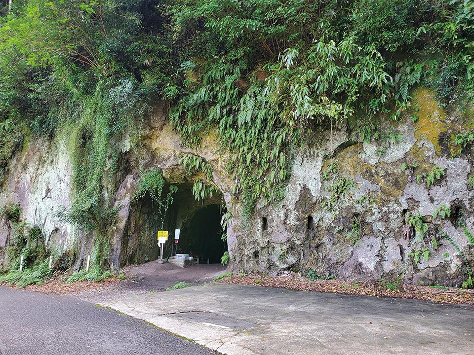 ガイドの方と一緒に、今も残された地下壕まで歩いていき、錦町の人々と海軍基地の歴史をじっくり学ぶことができたので、ぜひガイドツアーで参加してみて