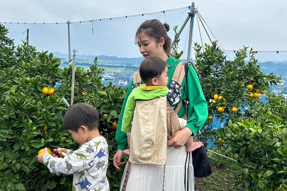 休日は家族とミカン狩りなどに行き熊本を満喫