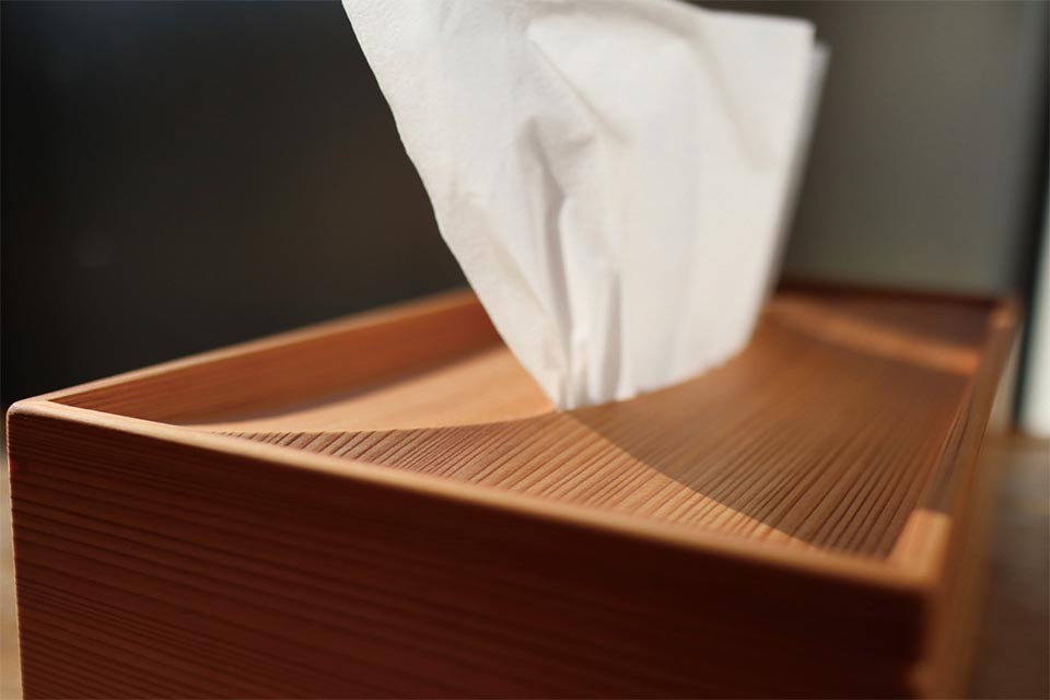 阿蘇の山々に霞（かすみ）が立ち込める風景をデザインしたティッシュボックス