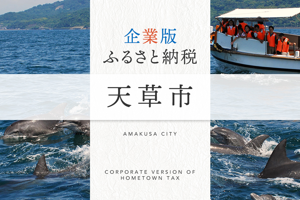 企業版ふるさと納税 天草市