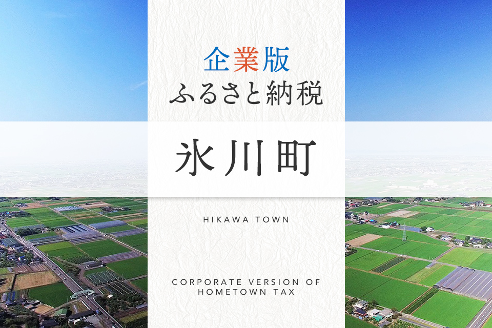 企業版ふるさと納税 氷川町