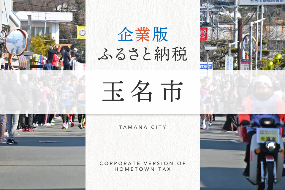 企業版ふるさと納税 玉名市