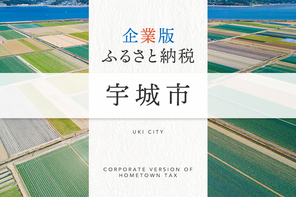 企業版ふるさと納税 宇城市