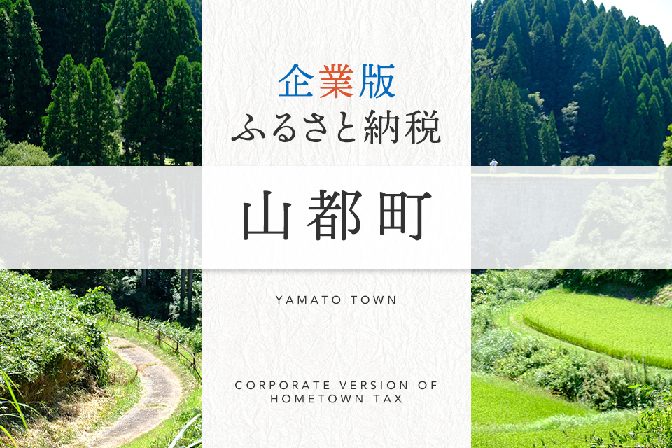 企業版ふるさと納税 山都町