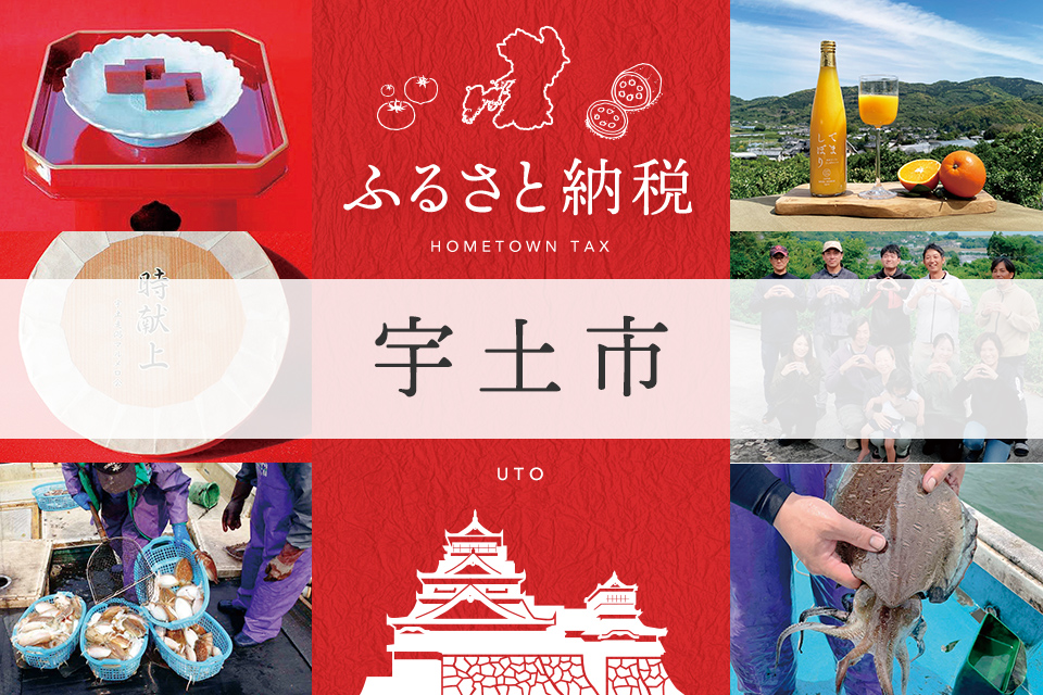 ふるさと納税 宇土市