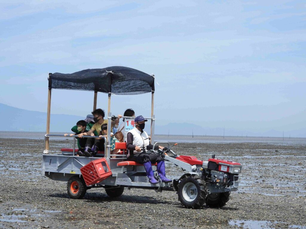 開放感のある干潟でテーラーに乗り、生き物をじっくり観察できる乗車体験