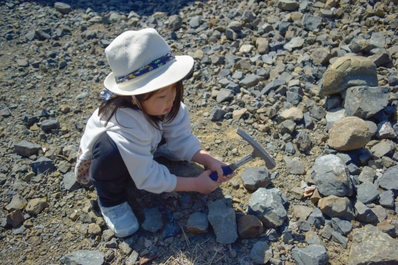 ハンマーを手に化石を探す子ども